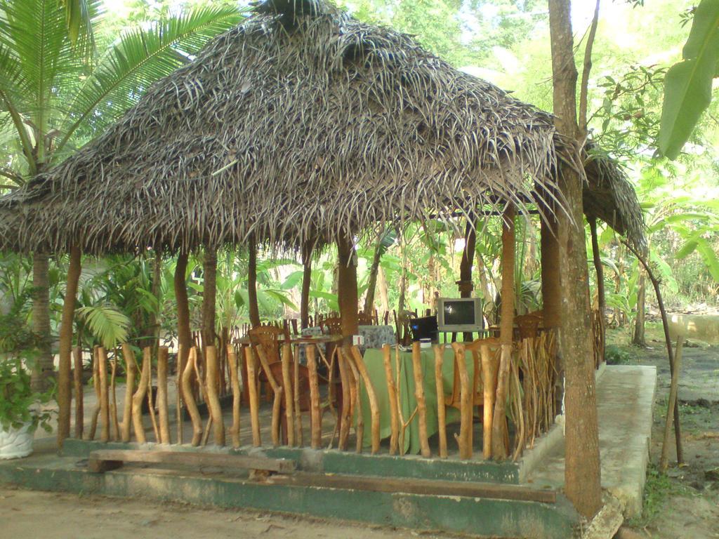 Bed and Breakfast Coconut Park Anuradhapura Exterior foto
